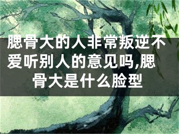 腮骨大的人非常叛逆不爱听别人的意见吗,腮骨大是什么脸型