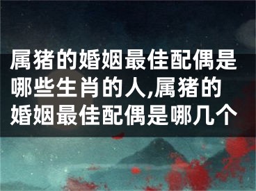 属猪的婚姻最佳配偶是哪些生肖的人,属猪的婚姻最佳配偶是哪几个