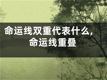 命运线双重代表什么,命运线重叠