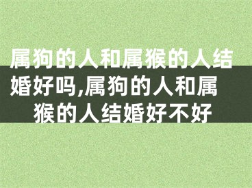 属狗的人和属猴的人结婚好吗,属狗的人和属猴的人结婚好不好