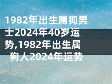 1982年出生属狗男士2024年40岁运势,1982年出生属狗人2024年运势