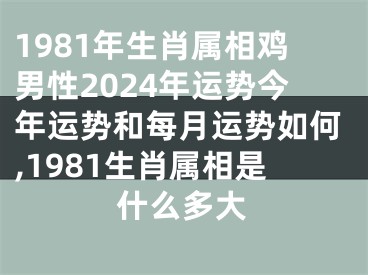 1981年生肖属相鸡男性2024年运势今年运势和每月运势如何,1981生肖属相是什么多大