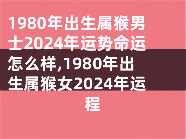 1980年出生属猴男士2024年运势命运怎么样,1980年出生属猴女2024年运程