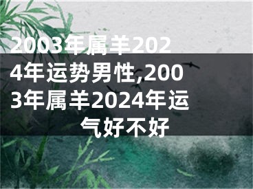 2003年属羊2024年运势男性,2003年属羊2024年运气好不好