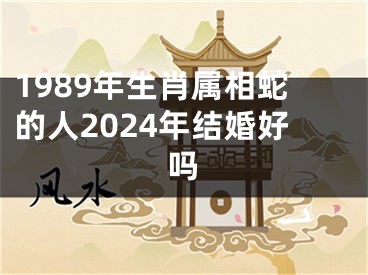 1989年生肖属相蛇的人2024年结婚好吗