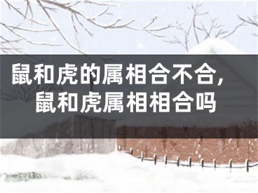 鼠和虎的属相合不合,鼠和虎属相相合吗