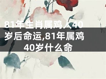 81年生肖属鸡人40岁后命运,81年属鸡40岁什么命