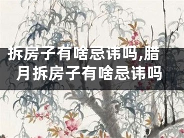 拆房子有啥忌讳吗,腊月拆房子有啥忌讳吗