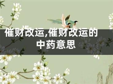 催财改运,催财改运的中药意思