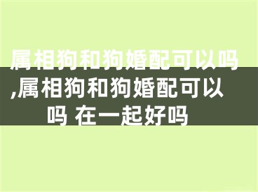 属相狗和狗婚配可以吗,属相狗和狗婚配可以吗 在一起好吗