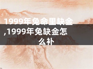 1999年兔命里缺金,1999年兔缺金怎么补