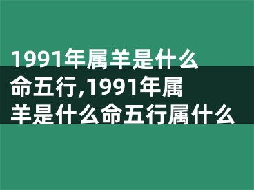 1991年属羊是什么命五行,1991年属羊是什么命五行属什么