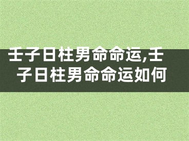 壬子日柱男命命运,壬子日柱男命命运如何