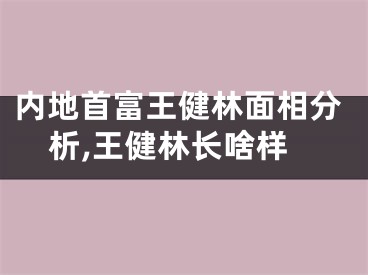 内地首富王健林面相分析,王健林长啥样