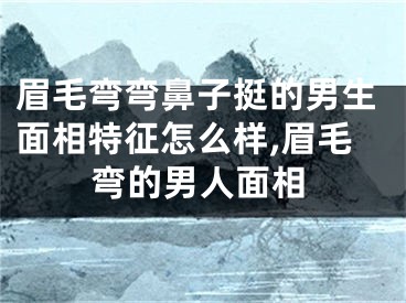 眉毛弯弯鼻子挺的男生面相特征怎么样,眉毛弯的男人面相