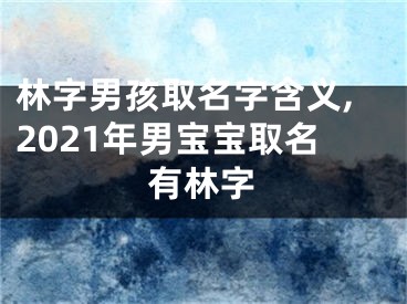 林字男孩取名字含义,2021年男宝宝取名有林字