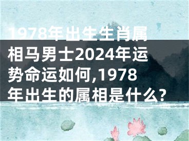 1978年出生生肖属相马男士2024年运势命运如何,1978年出生的属相是什么?