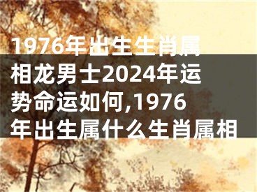 1976年出生生肖属相龙男士2024年运势命运如何,1976年出生属什么生肖属相