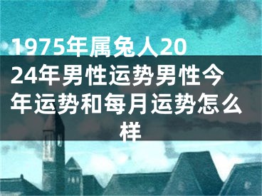 1975年属兔人2024年男性运势男性今年运势和每月运势怎么样