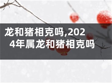 龙和猪相克吗,2024年属龙和猪相克吗