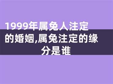 1999年属兔人注定的婚姻,属兔注定的缘分是谁