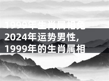 1999年生肖属相兔2024年运势男性,1999年的生肖属相