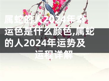 属蛇的人2024年幸运色是什么颜色,属蛇的人2024年运势及运程详解