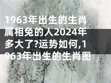 1963年出生的生肖属相兔的人2024年多大了?运势如何,1963年出生的生肖图