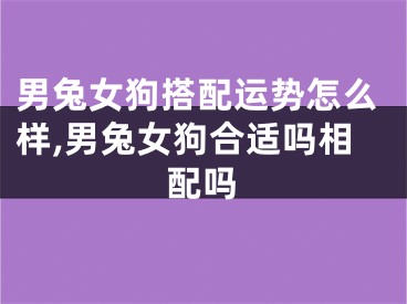 男兔女狗搭配运势怎么样,男兔女狗合适吗相配吗