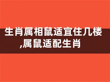 生肖属相鼠适宜住几楼,属鼠适配生肖