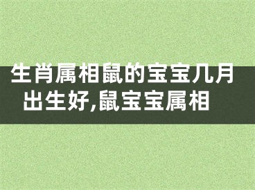 生肖属相鼠的宝宝几月出生好,鼠宝宝属相