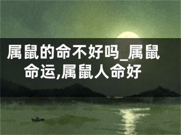 属鼠的命不好吗_属鼠命运,属鼠人命好