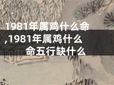 1981年属鸡什么命,1981年属鸡什么命五行缺什么