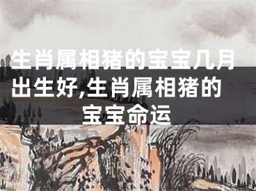 生肖属相猪的宝宝几月出生好,生肖属相猪的宝宝命运