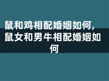 鼠和鸡相配婚姻如何,鼠女和男牛相配婚姻如何