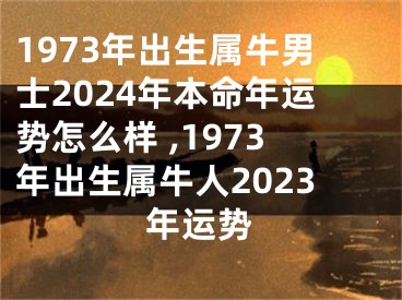 1973年出生属牛男士2024年本命年运势怎么样 ,1973年出生属牛人2023年运势