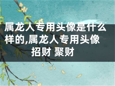 属龙人专用头像是什么样的,属龙人专用头像招财 聚财