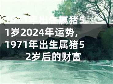 1971年出生属猪51岁2024年运势,1971年出生属猪52岁后的财富