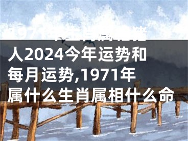 1971年生肖属相猪人2024今年运势和每月运势,1971年属什么生肖属相什么命