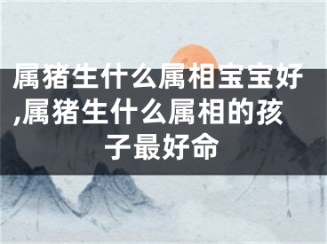 属猪生什么属相宝宝好,属猪生什么属相的孩子最好命