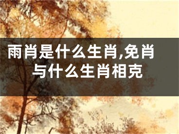 雨肖是什么生肖,免肖与什么生肖相克