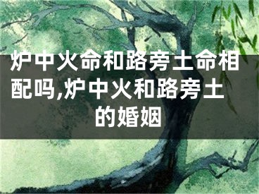 炉中火命和路旁土命相配吗,炉中火和路旁土的婚姻