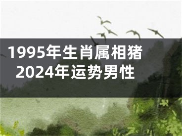 1995年生肖属相猪2024年运势男性