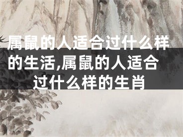 属鼠的人适合过什么样的生活,属鼠的人适合过什么样的生肖