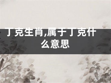 丁克生肖,属于丁克什么意思