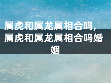 属虎和属龙属相合吗,属虎和属龙属相合吗婚姻