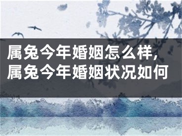 属兔今年婚姻怎么样,属兔今年婚姻状况如何