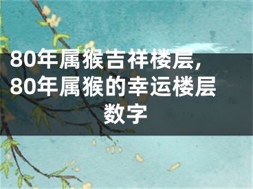 80年属猴吉祥楼层,80年属猴的幸运楼层数字