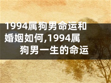 1994属狗男命运和婚姻如何,1994属狗男一生的命运