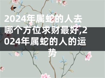 2024年属蛇的人去哪个方位求财最好,2024年属蛇的人的运势